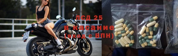 ПСИЛОЦИБИНОВЫЕ ГРИБЫ Абинск
