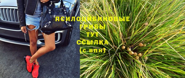 спайс Алексин