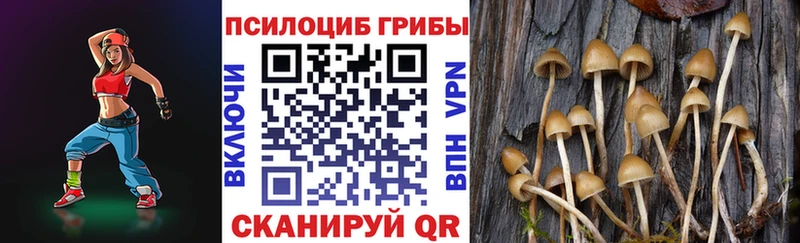 хочу наркоту  дарк нет наркотические препараты  Псилоцибиновые грибы Cubensis  Дивногорск  OMG зеркало 